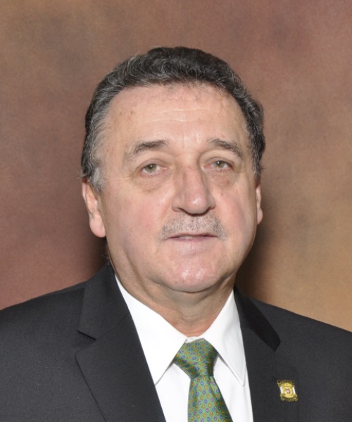 OSCAR Camara de Representantes 500 x 600