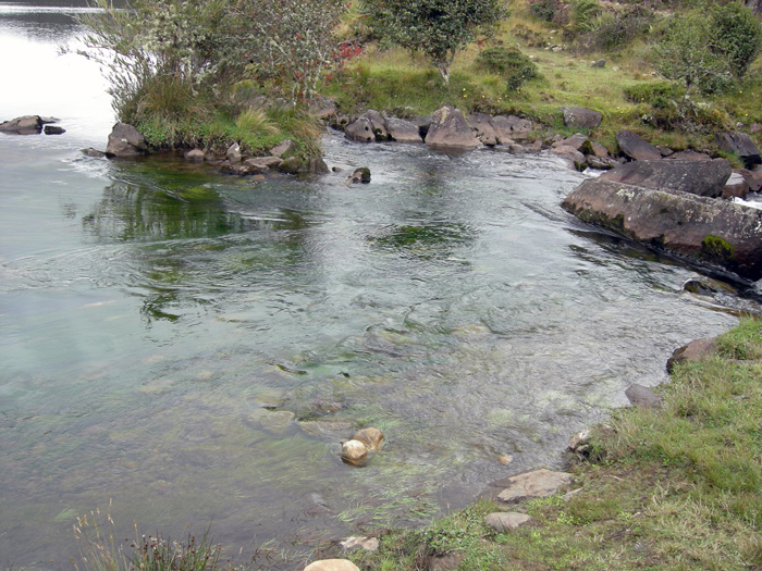 sobre las aguas