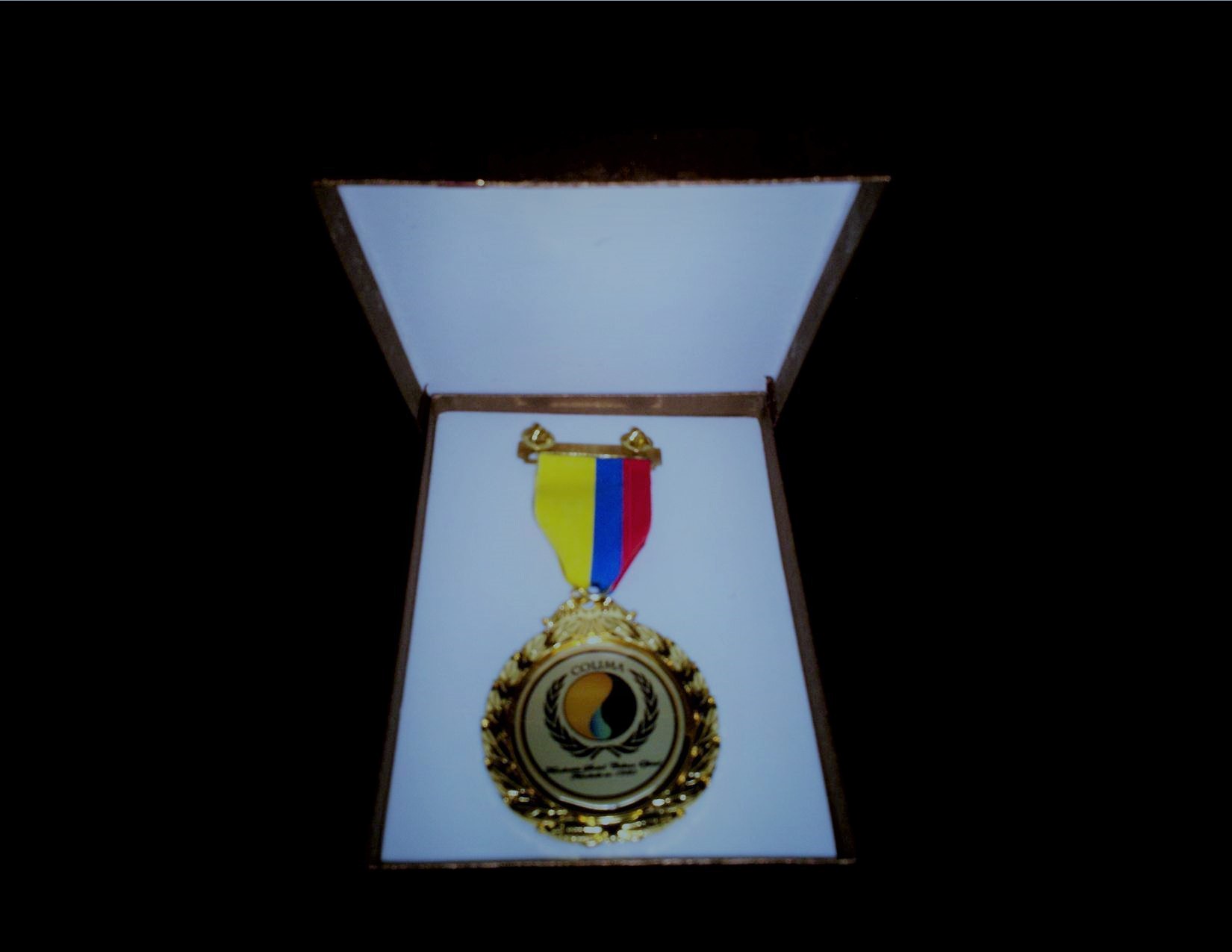 medalla 2