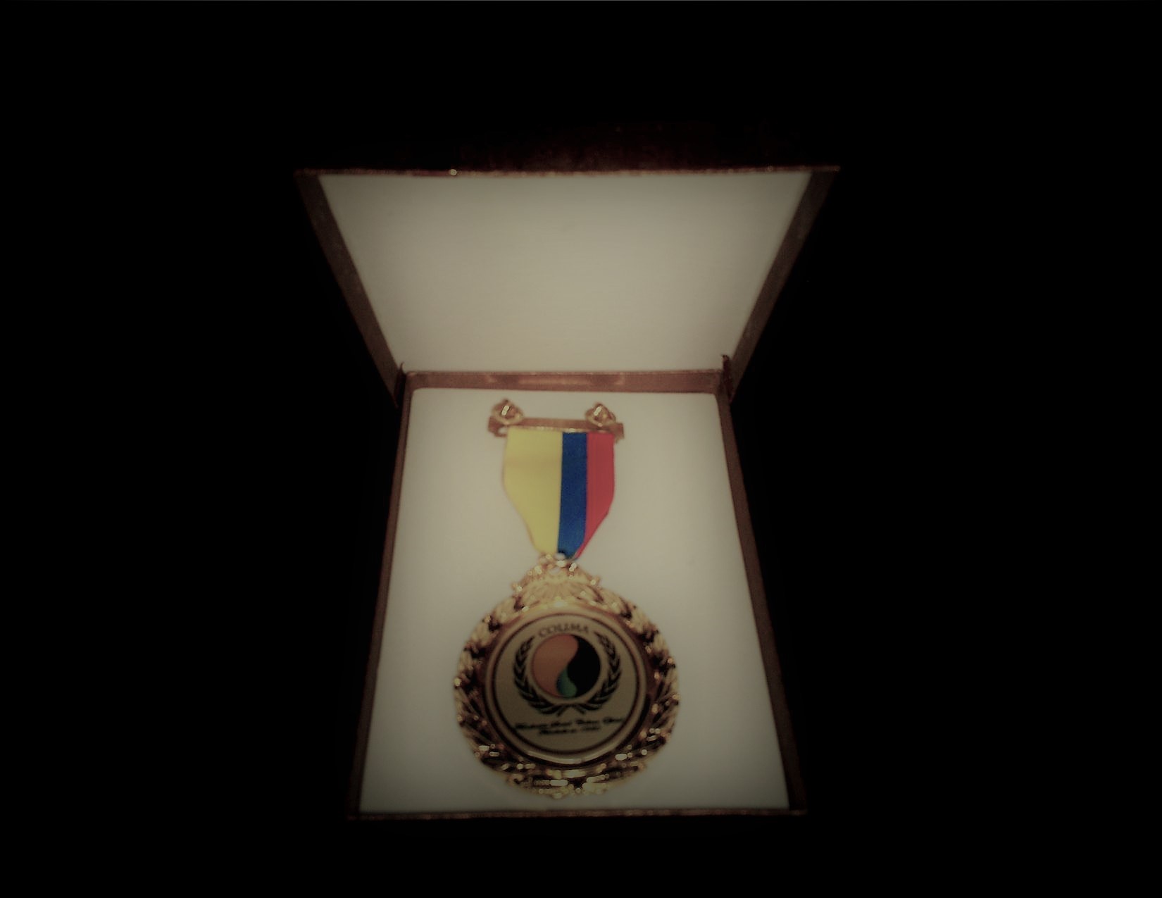 medalla 3